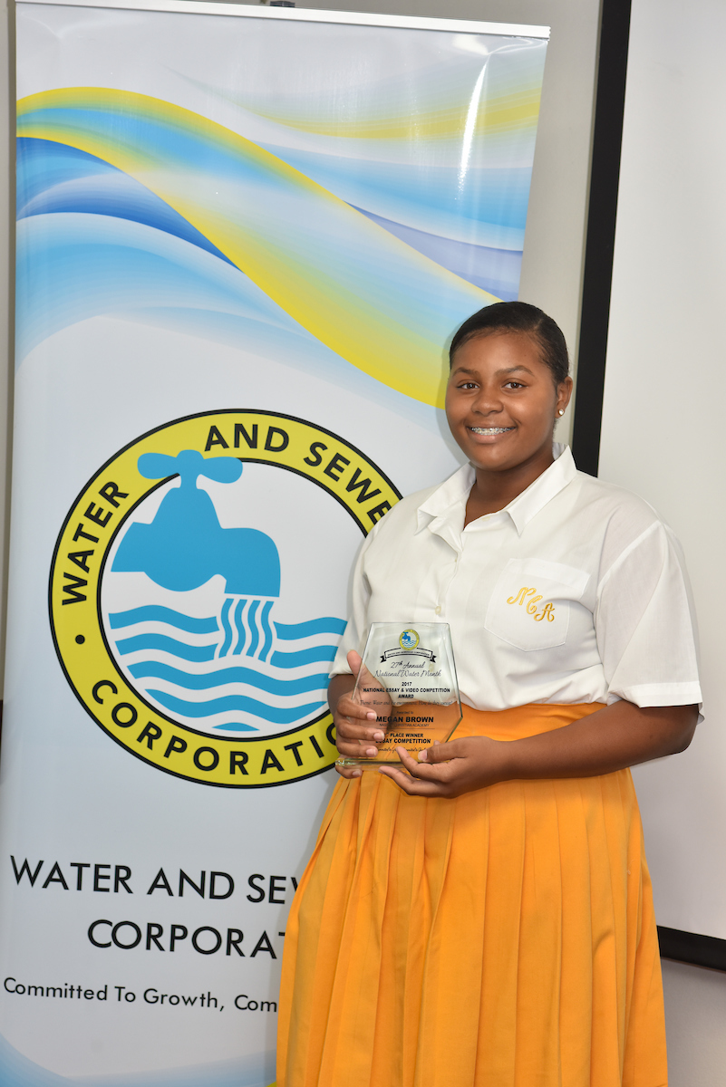 Wsc essay example picture